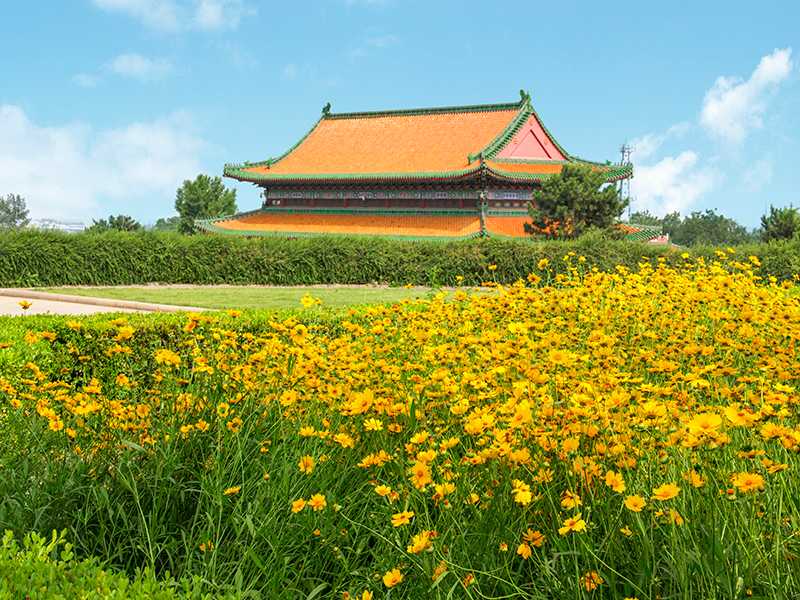 清东陵万佛园环境怎么样（万佛园碑型多吗）